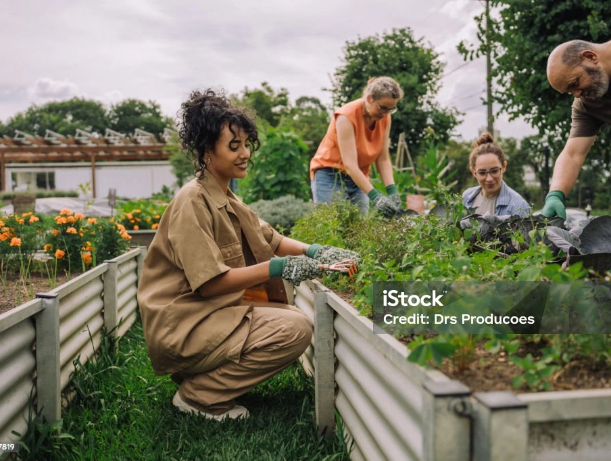 istockphoto-2064307819-1024x1024