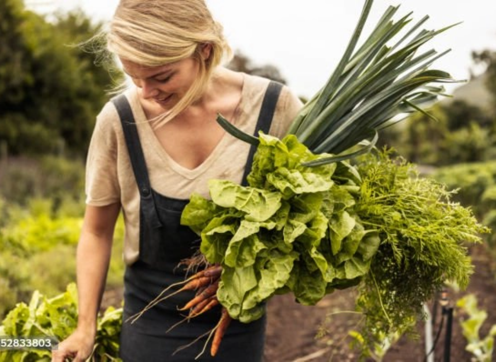 istockphoto-1352833803-1024x1024@2x