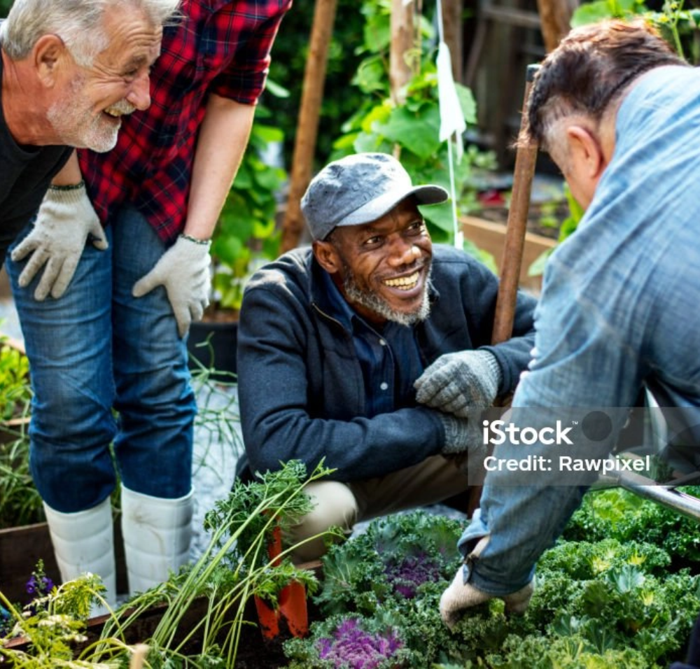 istockphoto-671263588-1024x1024@2x