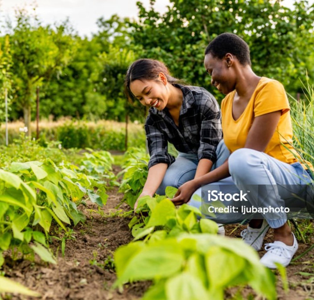 istockphoto-1496615445-1024x1024@2x (1)